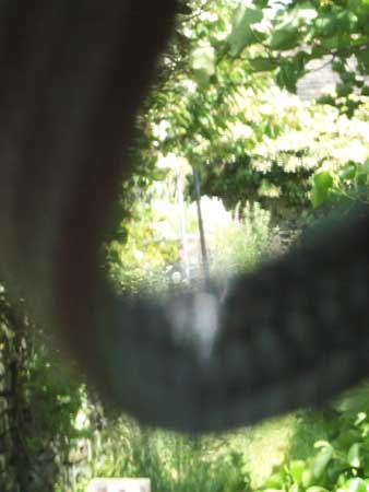 DCP_5145